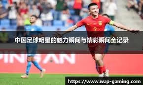 羽毛球男单决赛：李诗沣2-1安赛龙